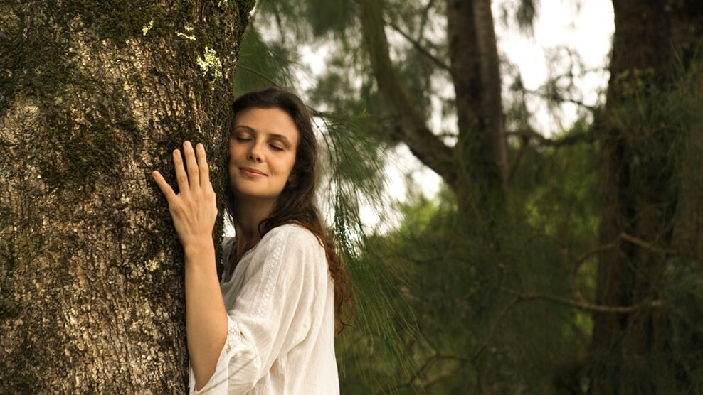 Hug a Tree and Connect