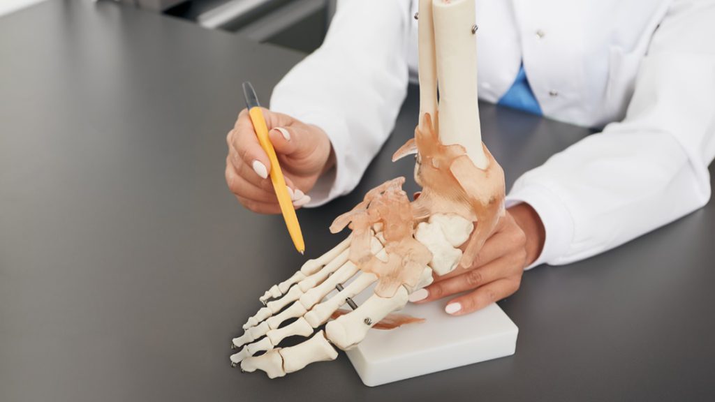 Foot Doctor