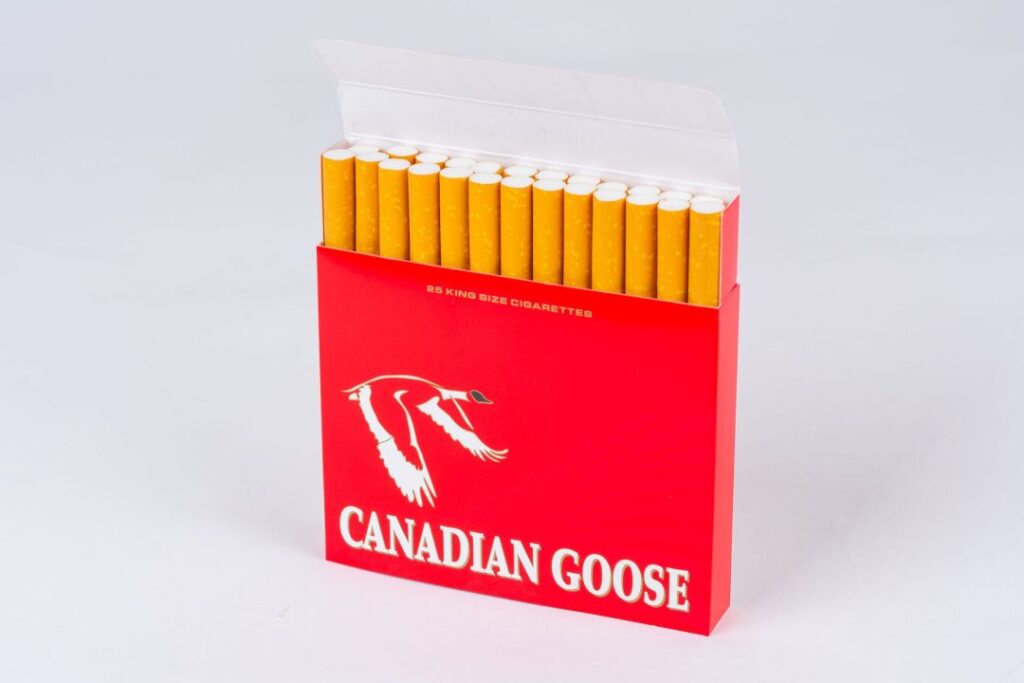 Canadian-Goose-2