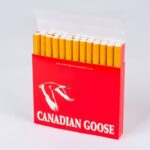 Canadian-Goose-2
